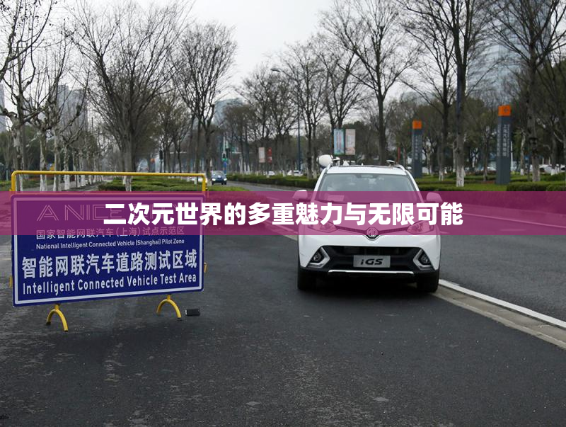 二次元世界的多重魅力与无限可能