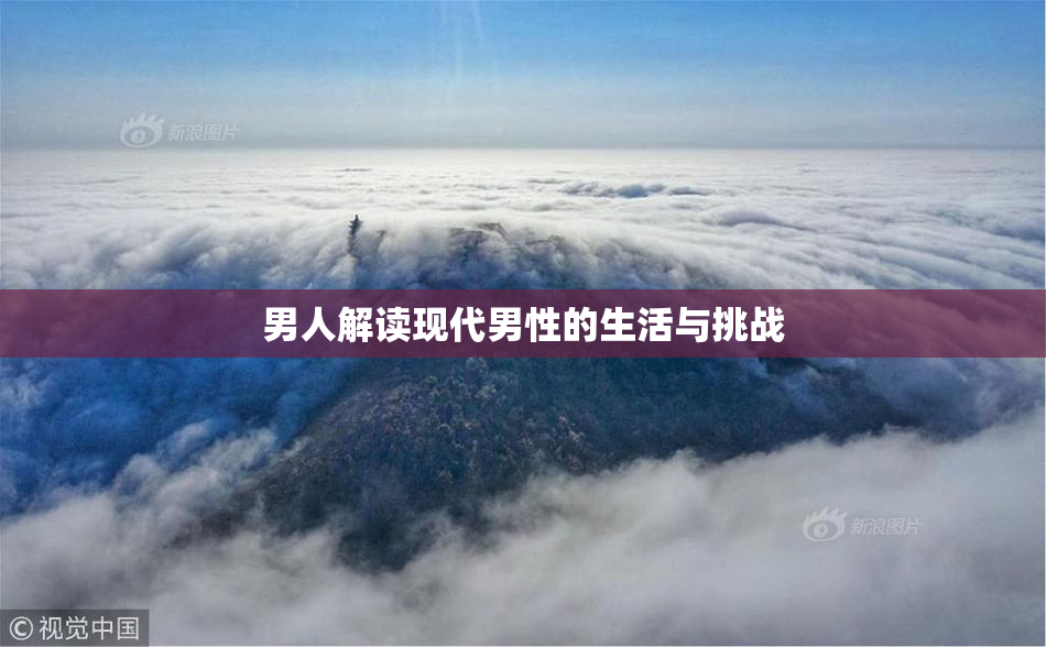 男人解读现代男性的生活与挑战