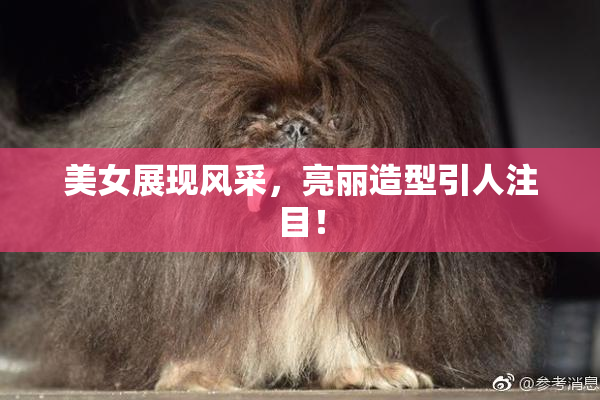 美女展现风采，亮丽造型引人注目！