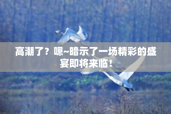 高潮了？嗯~暗示了一场精彩的盛宴即将来临！