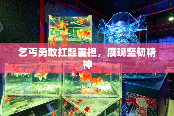 乞丐勇敢扛起重担，展现坚韧精神