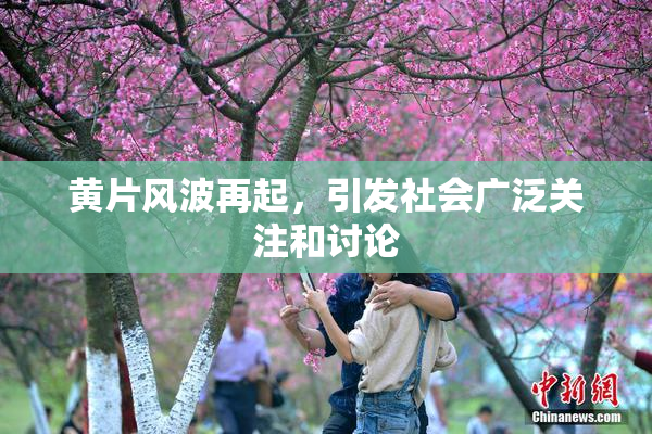黄片风波再起，引发社会广泛关注和讨论