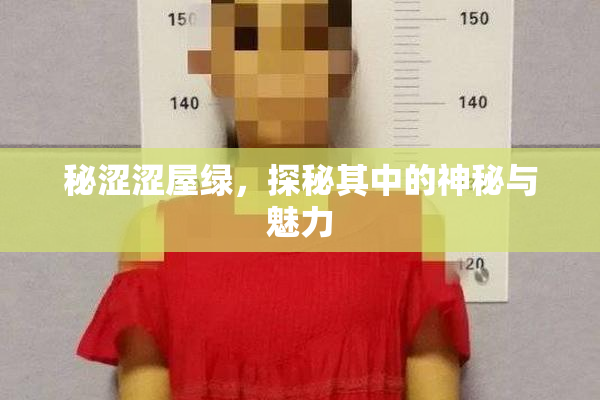 秘涩涩屋绿，探秘其中的神秘与魅力