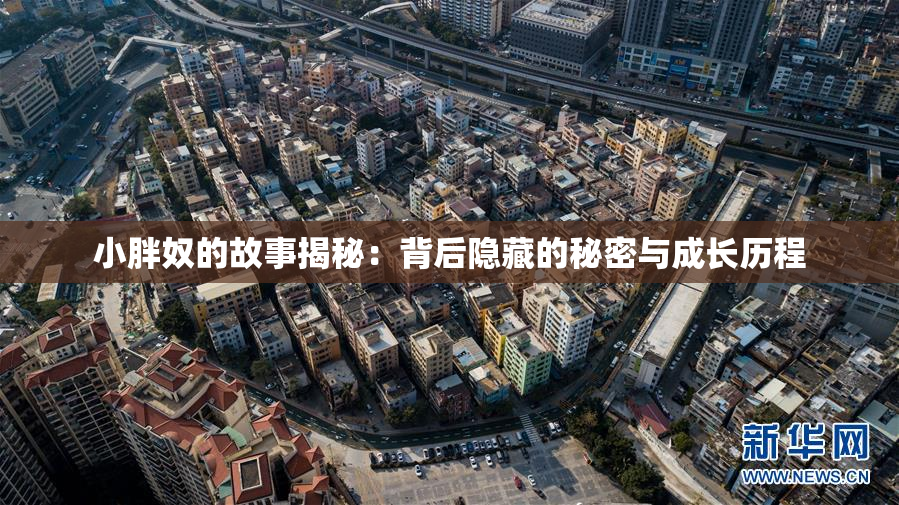 小胖奴的故事揭秘：背后隐藏的秘密与成长历程