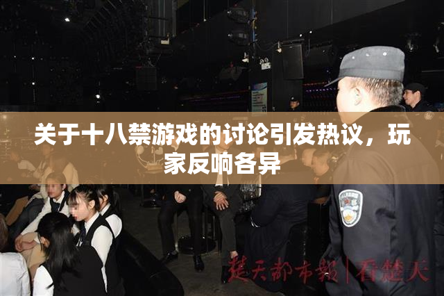 关于十八禁游戏的讨论引发热议，玩家反响各异