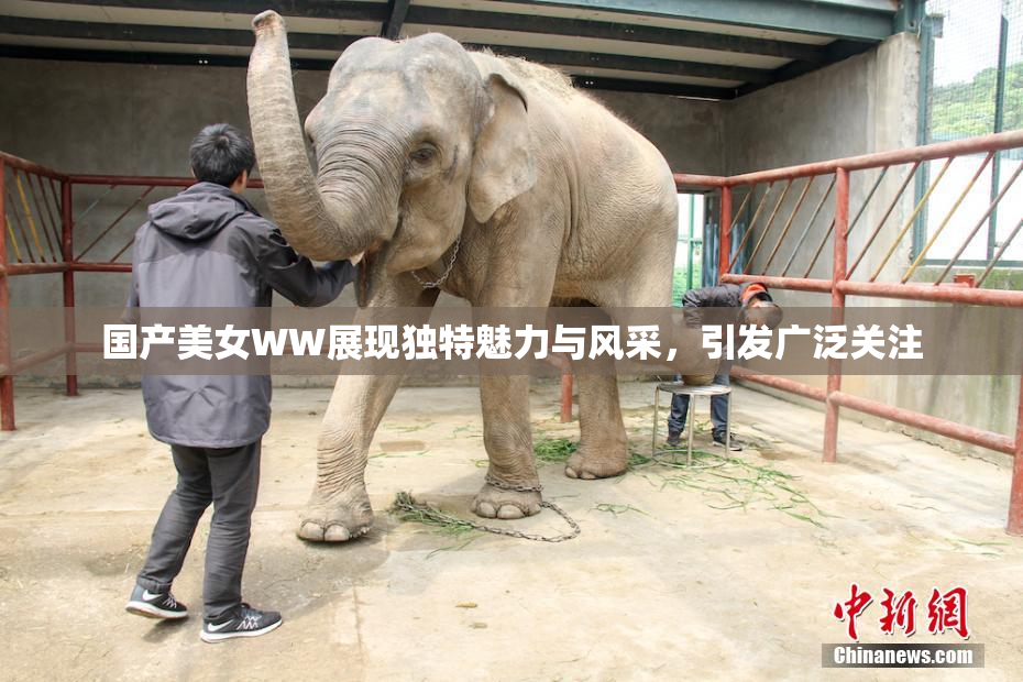 国产美女WW展现独特魅力与风采，引发广泛关注