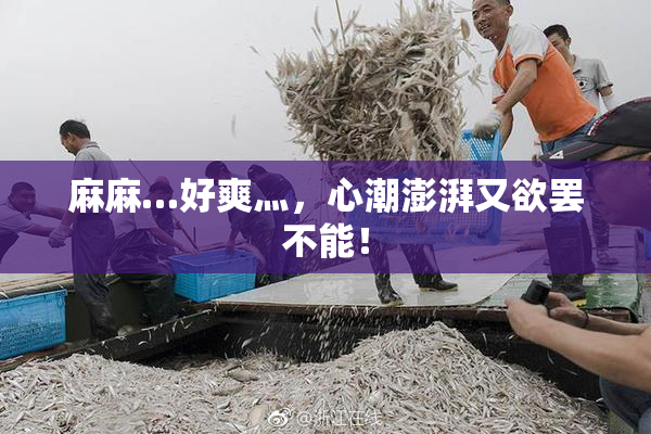 麻麻…好爽灬，心潮澎湃又欲罢不能！