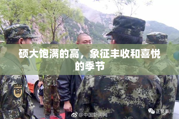 硕大饱满的高，象征丰收和喜悦的季节