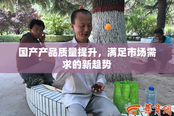 国产产品质量提升，满足市场需求的新趋势