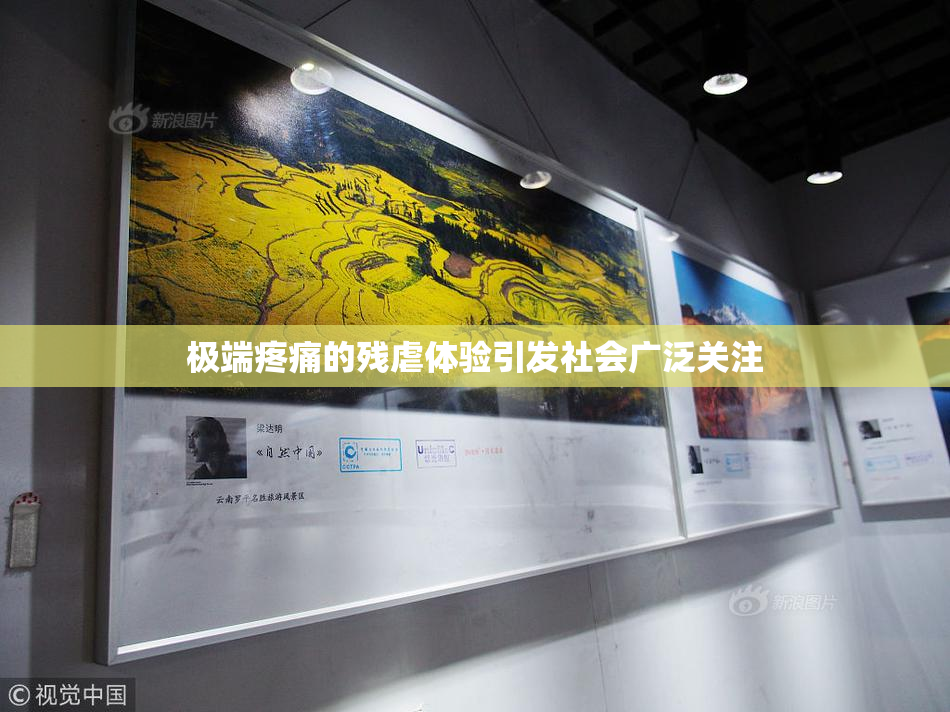 极端疼痛的残虐体验引发社会广泛关注