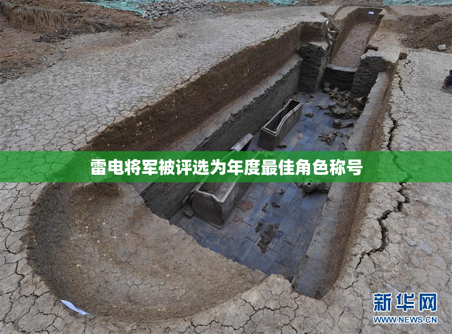 雷电将军被评选为年度最佳角色称号
