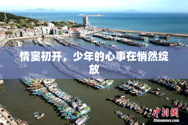 情窦初开，少年的心事在悄然绽放