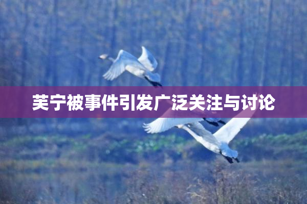 芙宁被事件引发广泛关注与讨论
