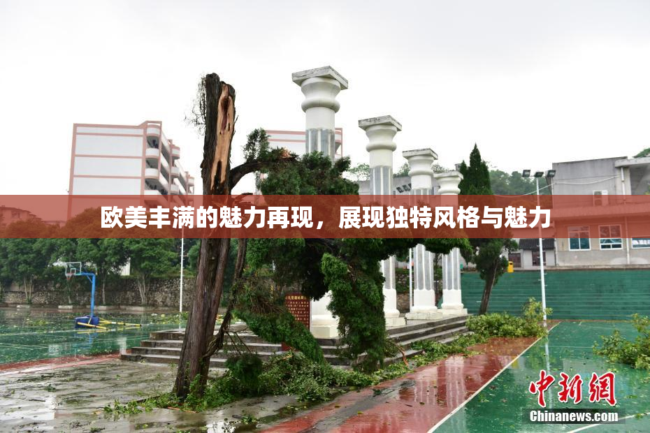 欧美丰满的魅力再现，展现独特风格与魅力