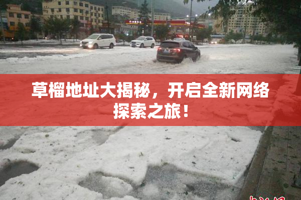 草榴地址大揭秘，开启全新网络探索之旅！