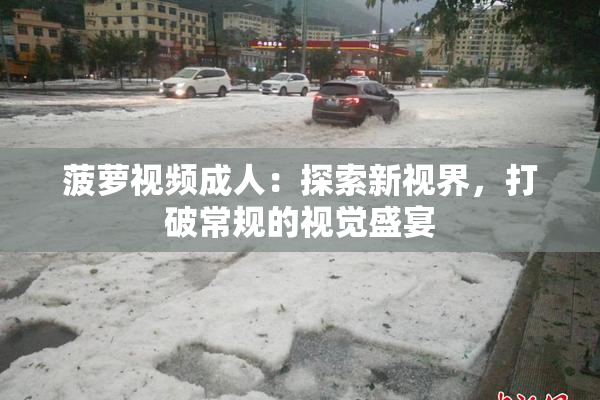 菠萝视频成人：探索新视界，打破常规的视觉盛宴