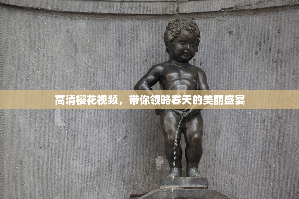 高清樱花视频，带你领略春天的美丽盛宴