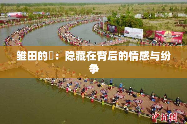 雏田的婬：隐藏在背后的情感与纷争