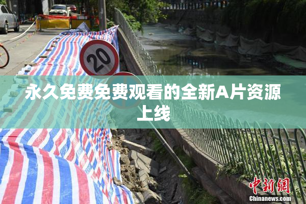 永久免费免费观看的全新A片资源上线