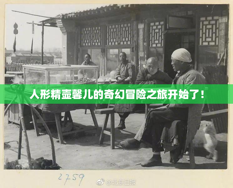 人形精壶馨儿的奇幻冒险之旅开始了！
