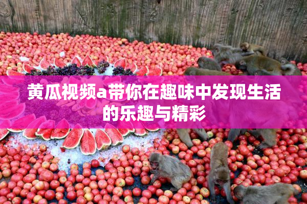 黄瓜视频a带你在趣味中发现生活的乐趣与精彩