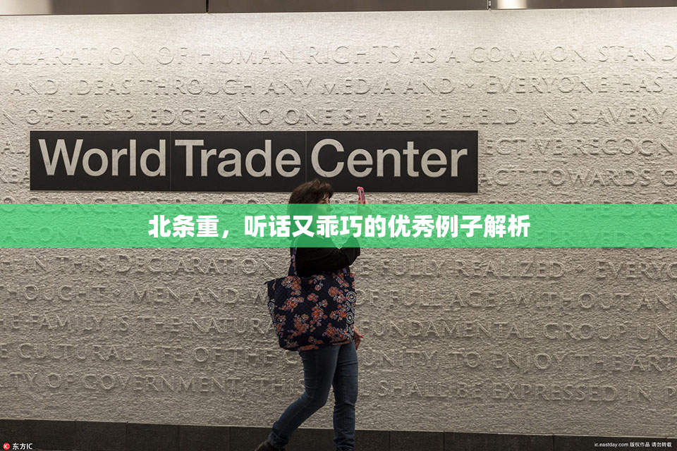 北条重，听话又乖巧的优秀例子解析