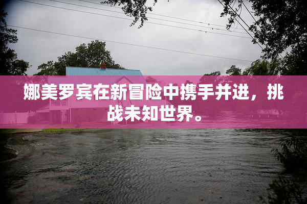 娜美罗宾在新冒险中携手并进，挑战未知世界。
