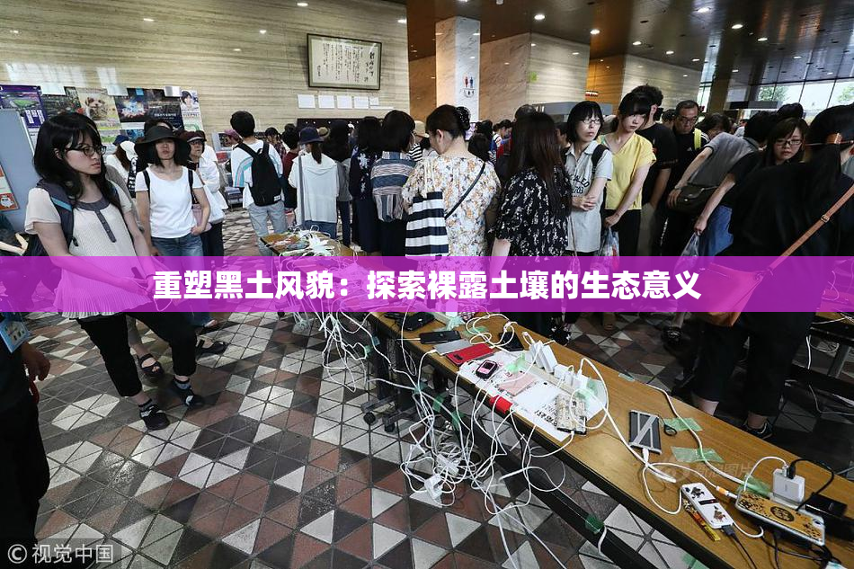 重塑黑土风貌：探索裸露土壤的生态意义