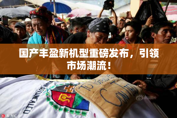 国产丰盈新机型重磅发布，引领市场潮流！