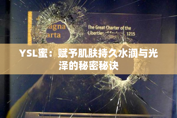 YSL蜜：赋予肌肤持久水润与光泽的秘密秘诀