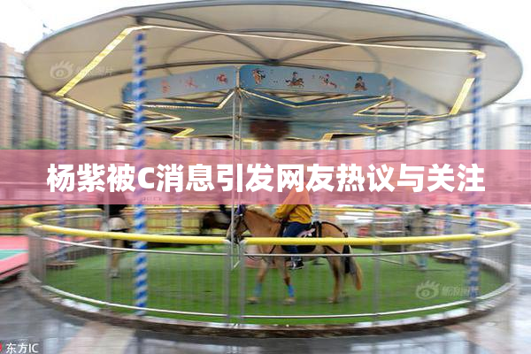 杨紫被C消息引发网友热议与关注
