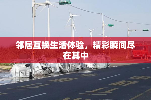 邻居互换生活体验，精彩瞬间尽在其中