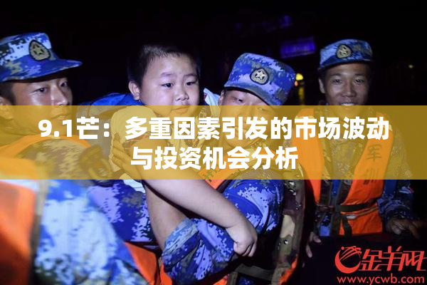 9.1芒：多重因素引发的市场波动与投资机会分析
