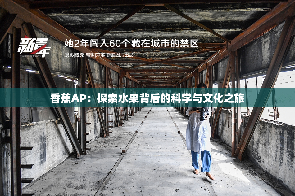 香蕉AP：探索水果背后的科学与文化之旅