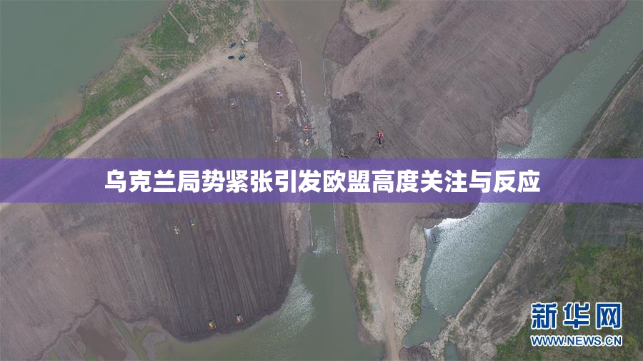乌克兰局势紧张引发欧盟高度关注与反应