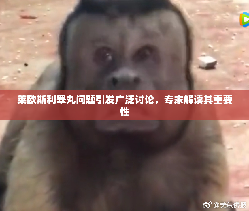 莱欧斯利睾丸问题引发广泛讨论，专家解读其重要性