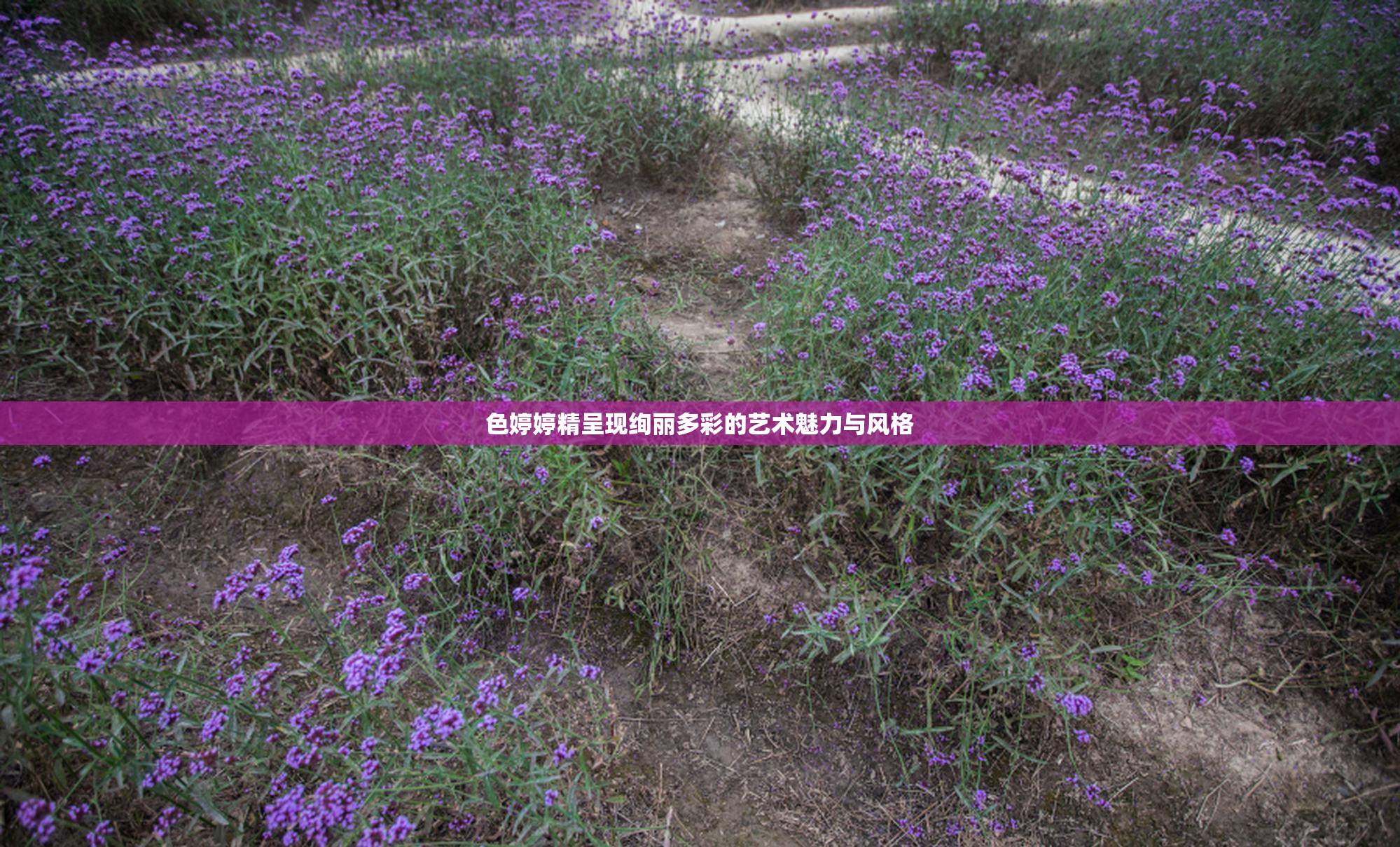 色婷婷精呈现绚丽多彩的艺术魅力与风格