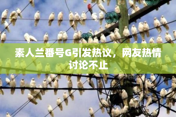 素人兰番号G引发热议，网友热情讨论不止