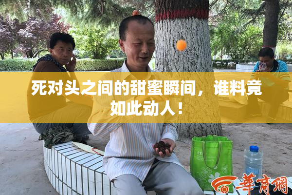 死对头之间的甜蜜瞬间，谁料竟如此动人！