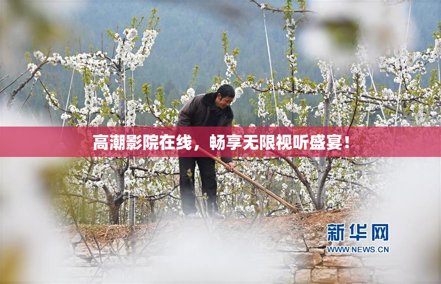 高潮影院在线，畅享无限视听盛宴！