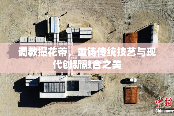 调教撮花蒂，重铸传统技艺与现代创新融合之美