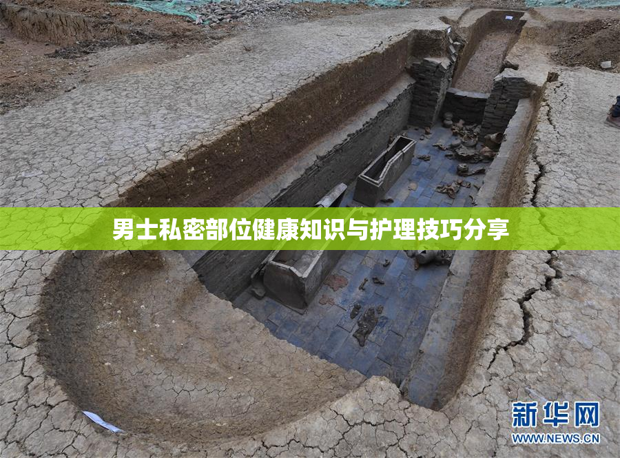 男士私密部位健康知识与护理技巧分享