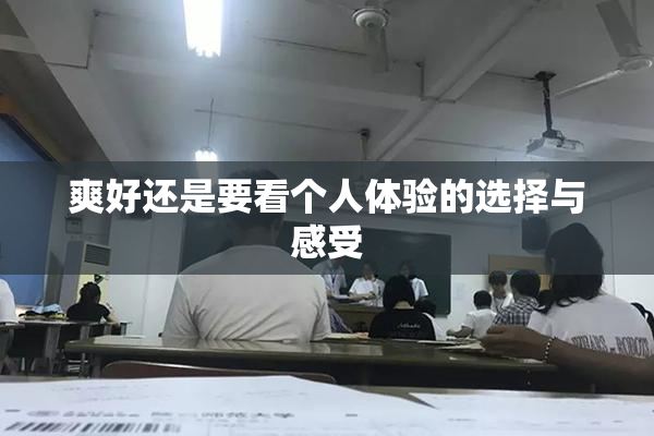 爽好还是要看个人体验的选择与感受