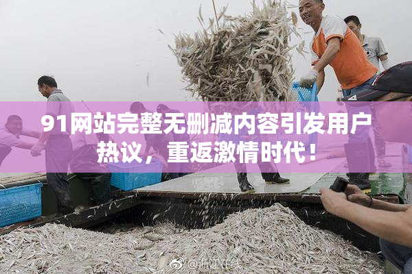91网站完整无删减内容引发用户热议，重返激情时代！