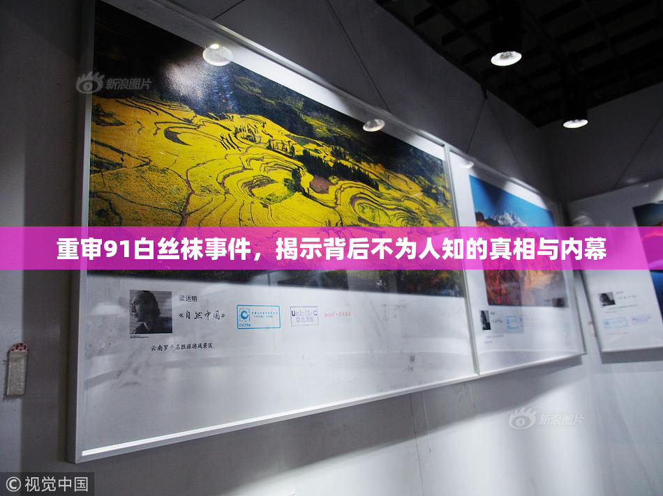 重审91白丝袜事件，揭示背后不为人知的真相与内幕