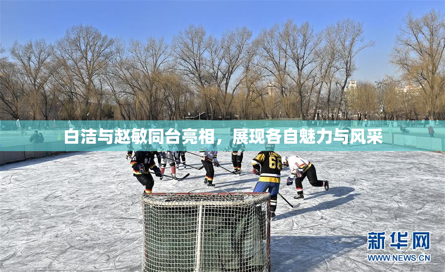 白洁与赵敏同台亮相，展现各自魅力与风采