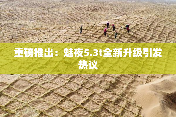 重磅推出：魅夜5.3t全新升级引发热议