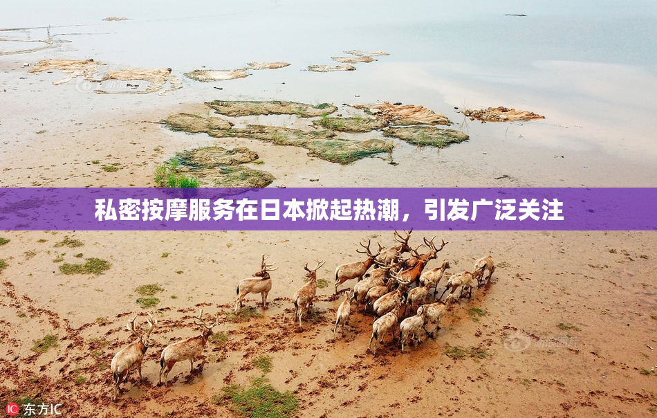 私密按摩服务在日本掀起热潮，引发广泛关注