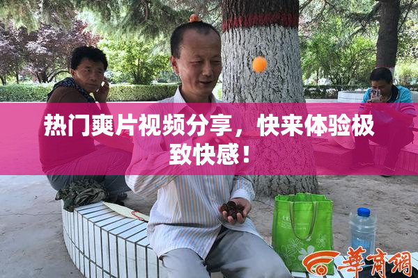 热门爽片视频分享，快来体验极致快感！
