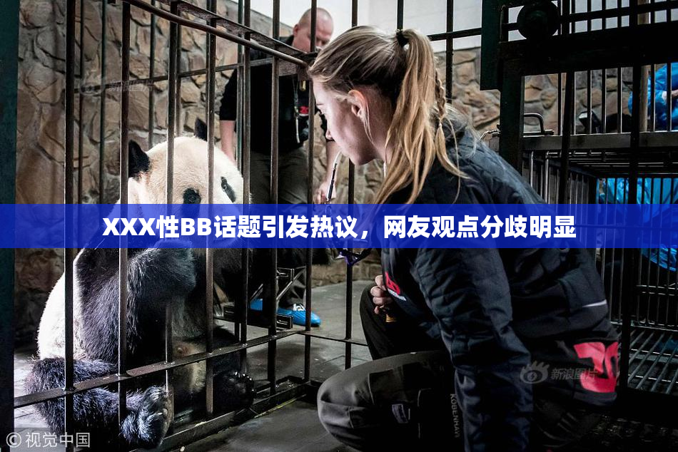XXX性BB话题引发热议，网友观点分歧明显